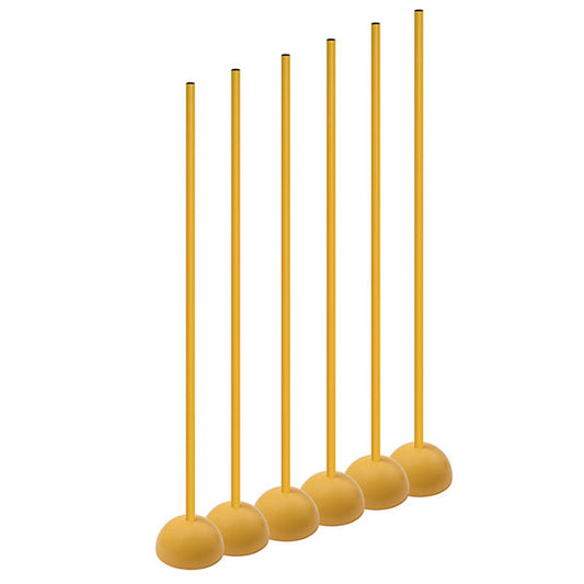 Coaching Sticks with Base