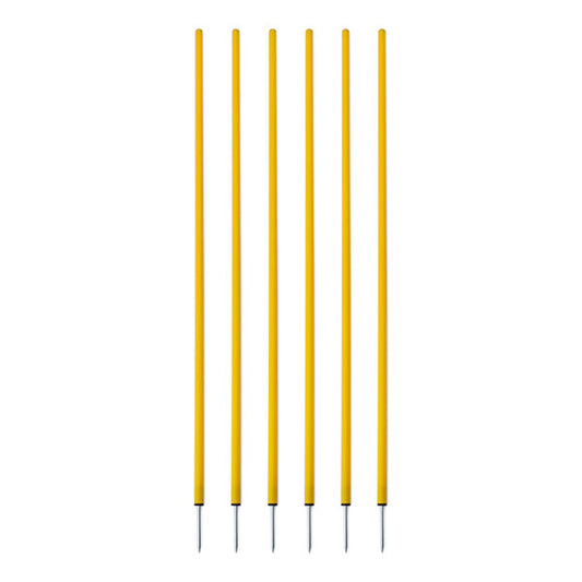 Coaching Stick, Set of 6, Yellow